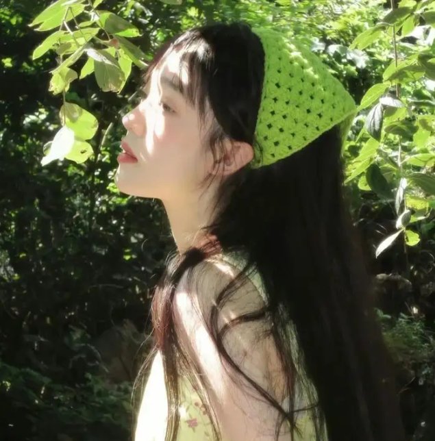 诚实国度的爱丽丝