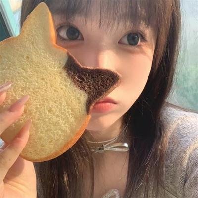 飞行员呆呆鸟